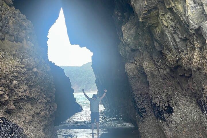 Piha Beach Tour: Black-Sand Shores, Kitekite Falls, and West Auckland Wilds photo 3