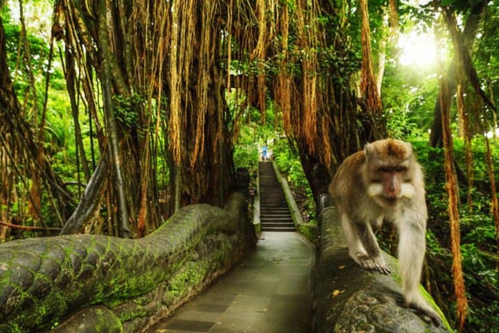 Custom Bali Private Car Tour — Tailor Your Full-Day Driver Experience from Seminyak photo 2