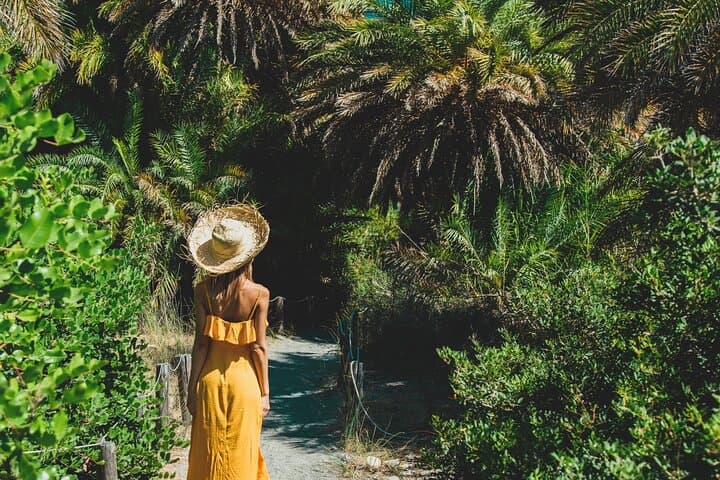 Preveli Beach & Palm Forest Full-Day Tour with Lunch Box — Crete’s River of Palms