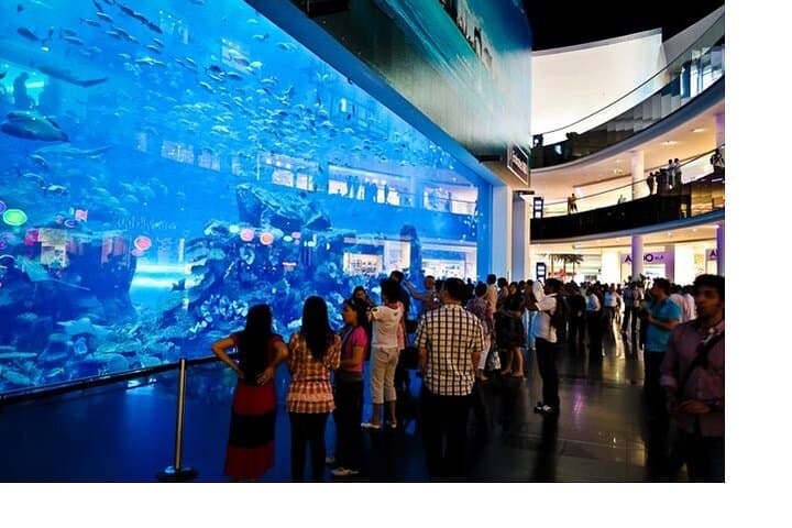 Private Full-Day Dubai City Tour with Car & Chauffeur — Start at Dubai Frame photo 3