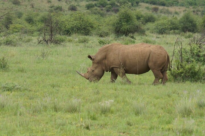 2-Day Mid-Range Private Safari: Tarangire & Ngorongoro Crater