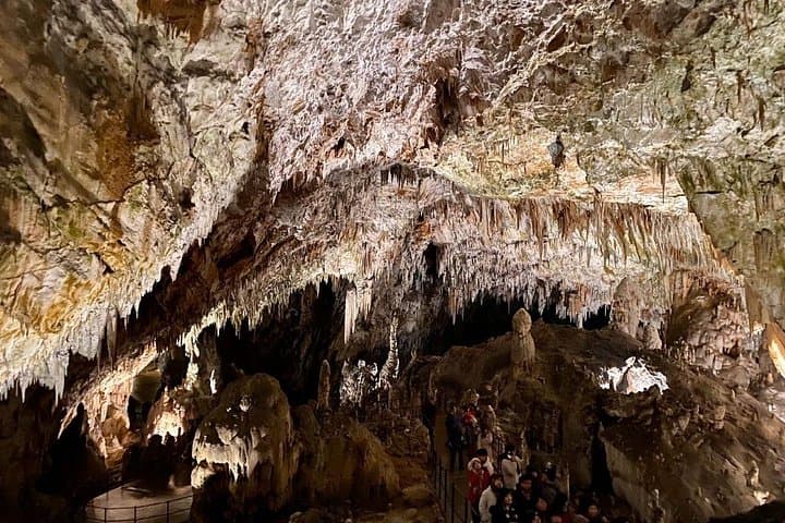 Underground Majesty: Postojna Cave and Predjama Castle Day Tour from Ljubljana photo 3