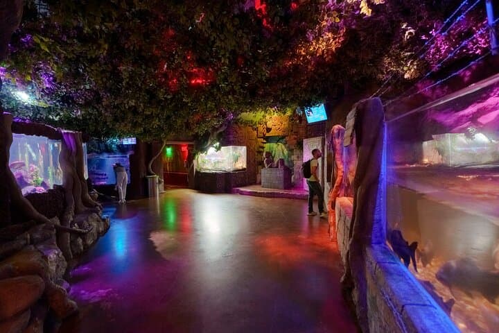 Inbursa Aquarium Mexico City: Skip-the-Line Interactive Marine Adventure photo 3