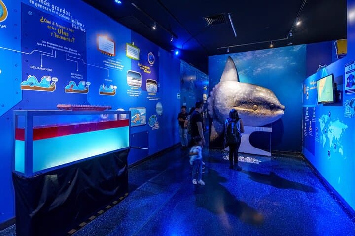 Inbursa Aquarium Mexico City: Skip-the-Line Interactive Marine Adventure photo 4