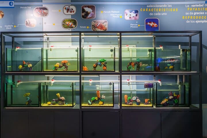 Inbursa Aquarium Mexico City: Skip-the-Line Interactive Marine Adventure photo 6