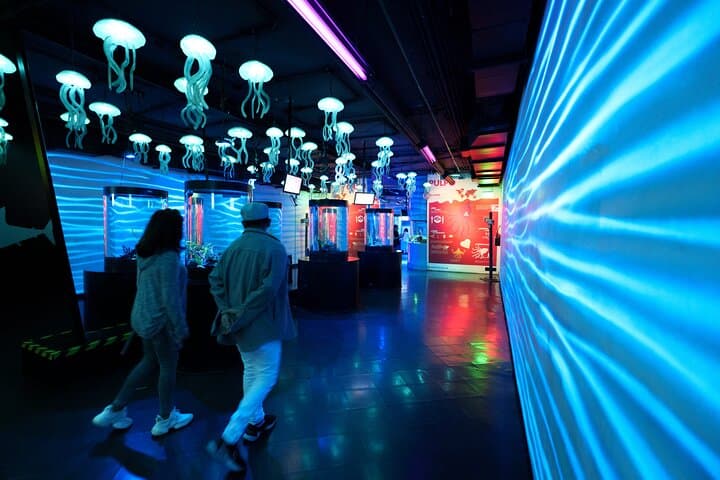 Inbursa Aquarium Mexico City: Skip-the-Line Interactive Marine Adventure photo 2