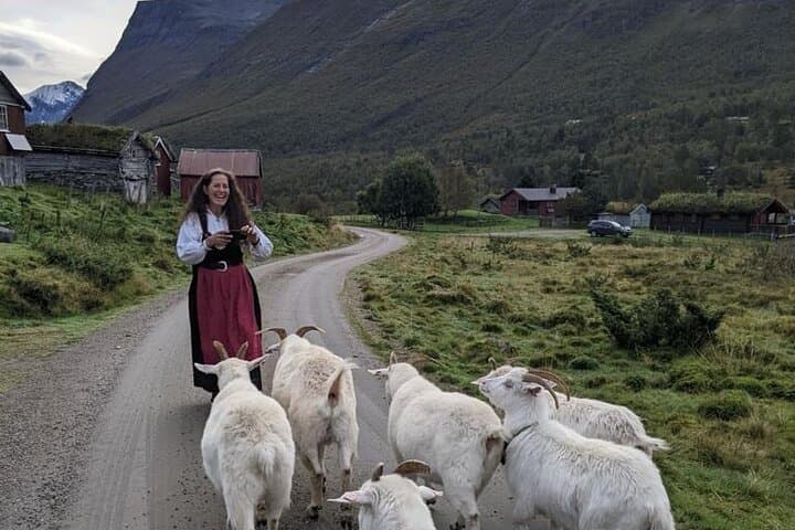 Trollstigen & Troll Wall Highlights: Scenic Drive from Åndalsnes photo 5