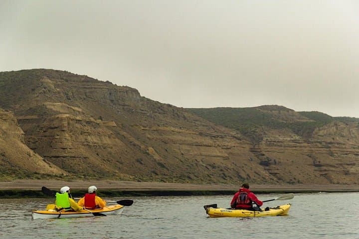 Coastal Kayak in Puerto Madryn: Paddle Golfo Nuevo to Punta Cuevas and Spot Marine Life