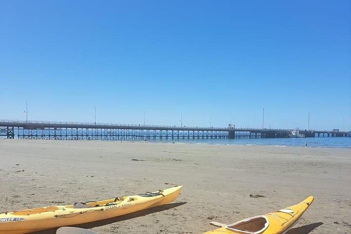 Coastal Kayak in Puerto Madryn: Paddle Golfo Nuevo to Punta Cuevas and Spot Marine Life photo 2