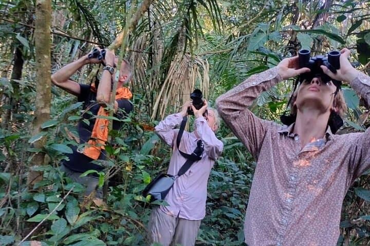 Amazon Jungle Experience: 3-Day Wildlife Expedition from Iquitos photo 4