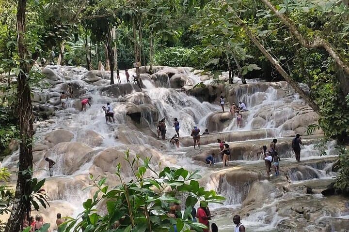 Private Dunn's River & Blue Hole Tour from Montego Bay — Climb, Swim, and Cliff-Jump photo 5