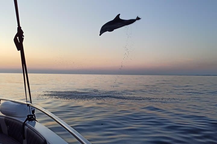 Private Sunrise Dolphins & Fishermen at Work — Rovinj Small-Boat Tour photo 3