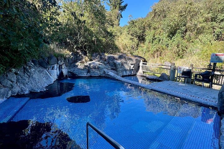Antisana to Papallacta: Andean Wildlife & Hot Springs Day Trip from Quito photo 2