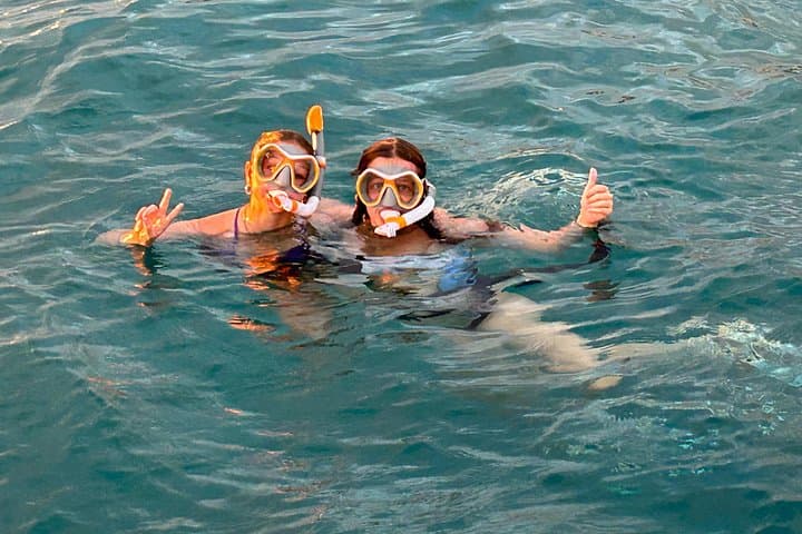 Intimate Waikiki Whale-Watching & Scenic Cruise from Ala Wai Harbor photo 6