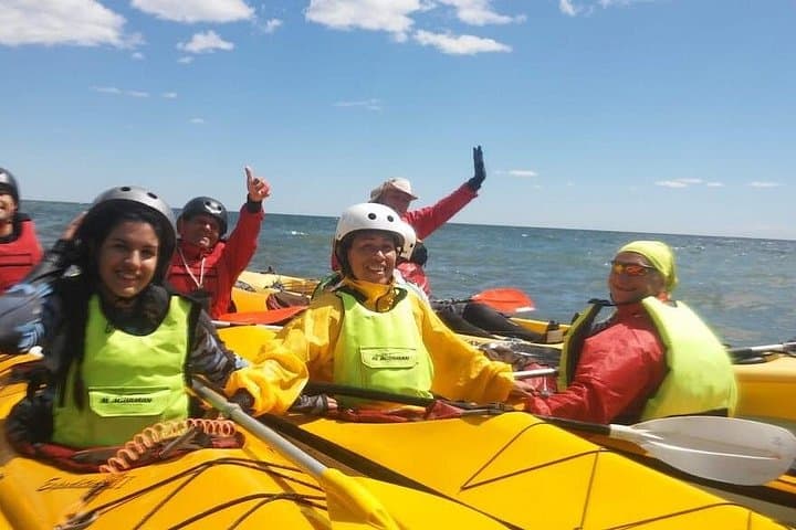Coastal Kayak in Puerto Madryn: Paddle Golfo Nuevo to Punta Cuevas and Spot Marine Life photo 3