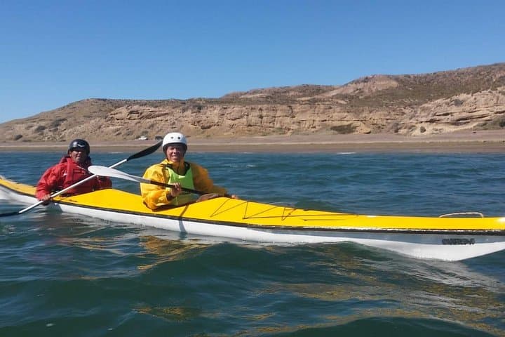 Coastal Kayak in Puerto Madryn: Paddle Golfo Nuevo to Punta Cuevas and Spot Marine Life photo 4
