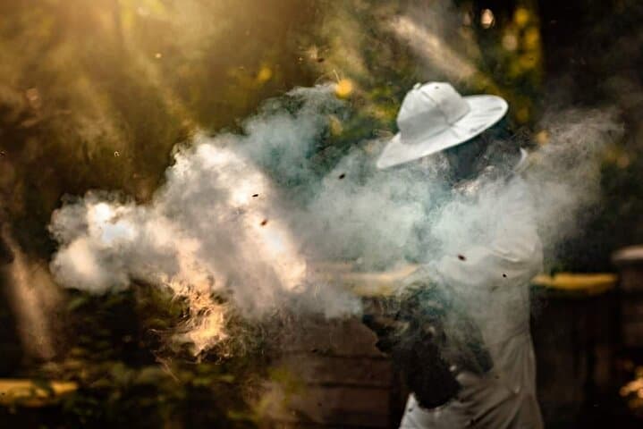 Cozumel Bee Farm Honey & Chocolate Tasting with East Side Sightseeing photo 2