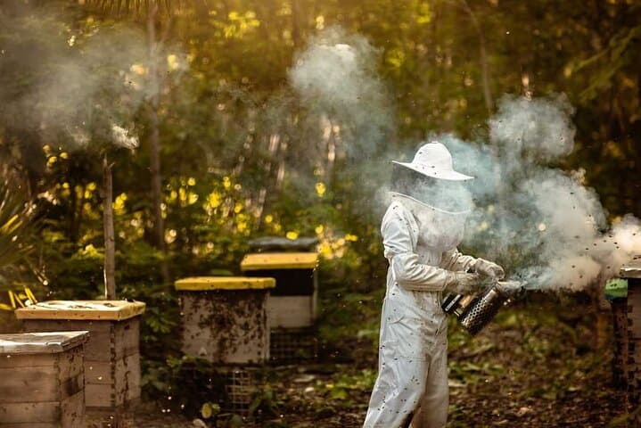 Cozumel Bee Farm Honey & Chocolate Tasting with East Side Sightseeing