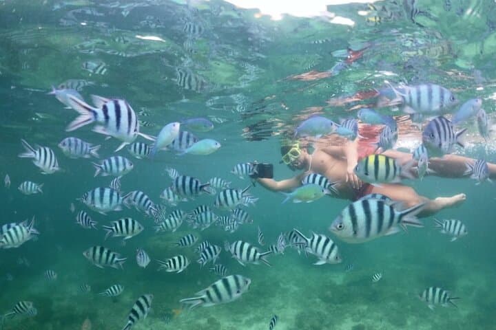 Private Port Barton Island Hopping & Turtle Watching with Lunch photo 5