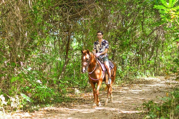 Exploring Macao Beach on a Horseback Adventure photo 3