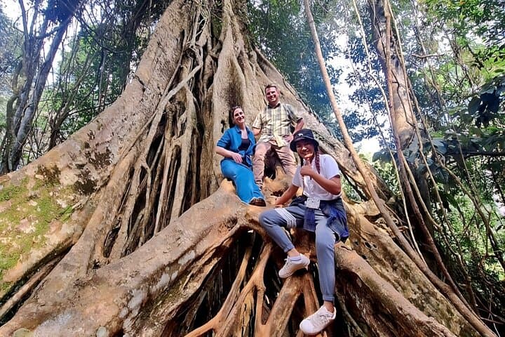 Khao Yai Nature Trails & Haew Suwat Waterfall Day Tour from Bangkok photo 4