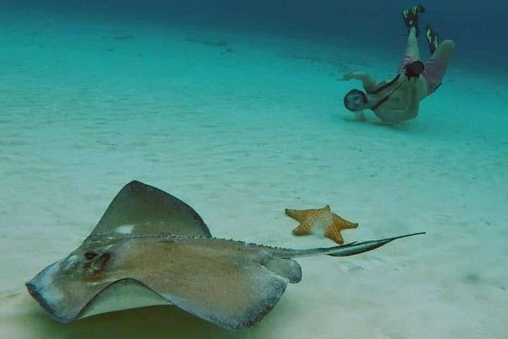 Cozumel Catamaran Snorkel to El Cielo: Starfish Flats & Turtle Bay photo 2