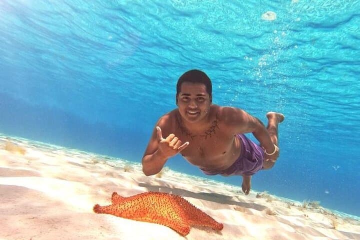 Cozumel Catamaran Snorkel to El Cielo: Starfish Flats & Turtle Bay photo 3