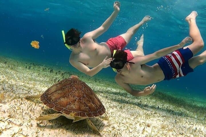 Cozumel Catamaran Snorkel to El Cielo: Starfish Flats & Turtle Bay