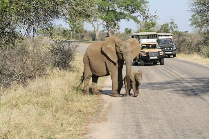Johannesburg to Kruger: 4-Day City Highlights + 2-Day Kruger Safari