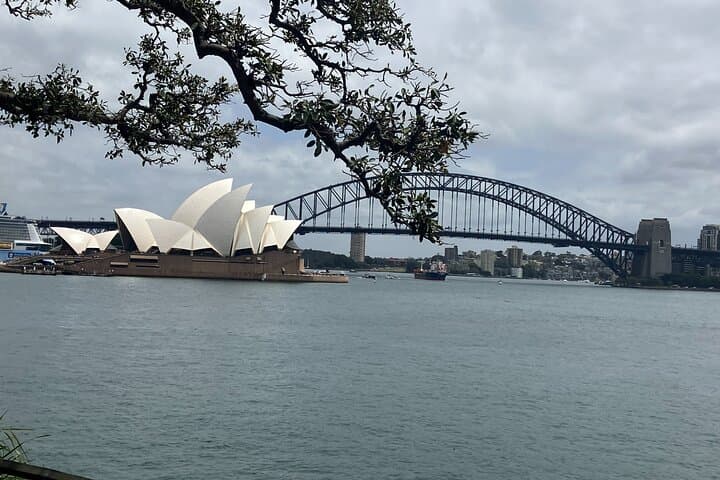 Sydney Half-Day Luxury Private Tour: Harbour Bridge, Watsons Bay & Bondi