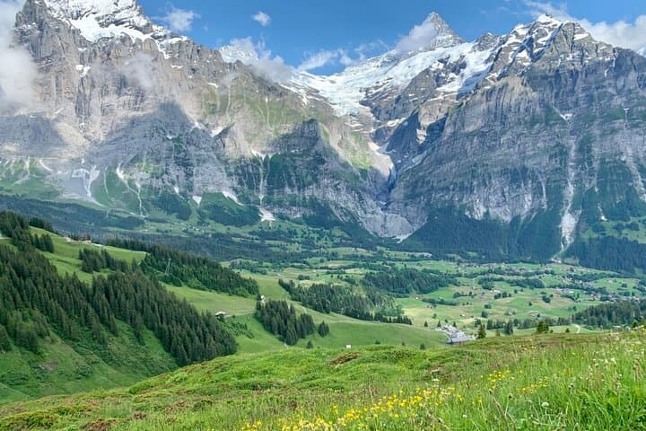 Grindelwald First to Bachalpsee Hike — Guided Day Tour from Interlaken photo 4