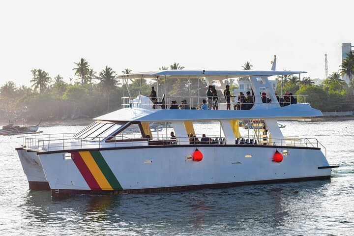 Mirissa Whale Watching from Colombo/Negombo: Breakfast Yacht Tour & Sea Bath