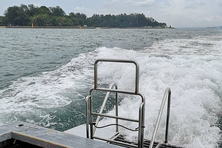 Singapore Scuba: Pulau Hantu & Keppel Bay Two-Dive Adventure photo 3