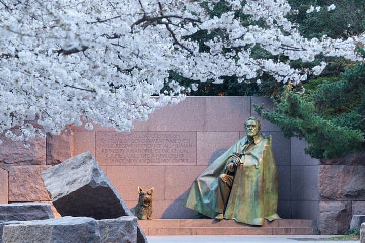 Tidal Basin Guided Walking Tour: Jefferson, FDR & MLK Memorials in Washington DC photo 5