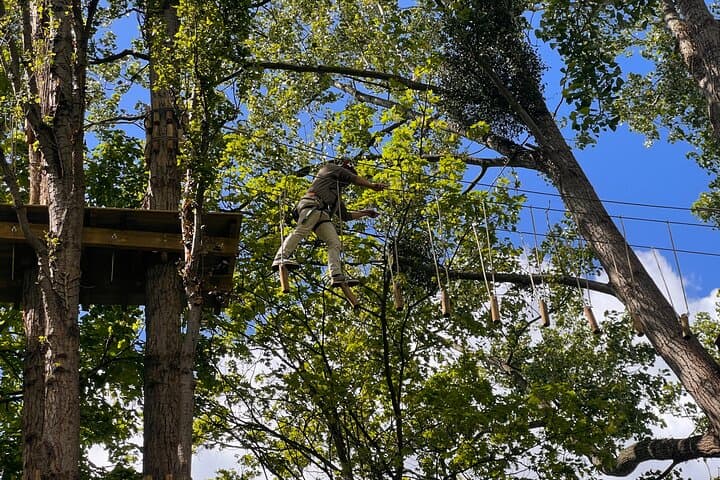 Rouen Treetop Adventure Course — Zip Lines, Rope Bridges & Aerial Challenges photo 4
