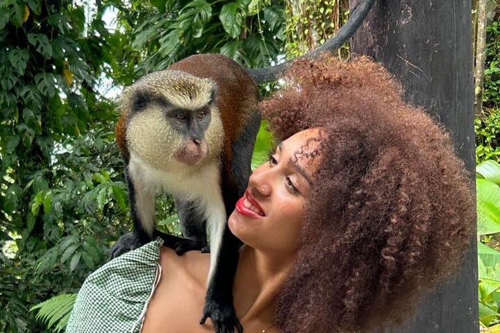 Half-Day Private Grenada Tour: Chocolate Museum, Grand Etang & Waterfall Swim