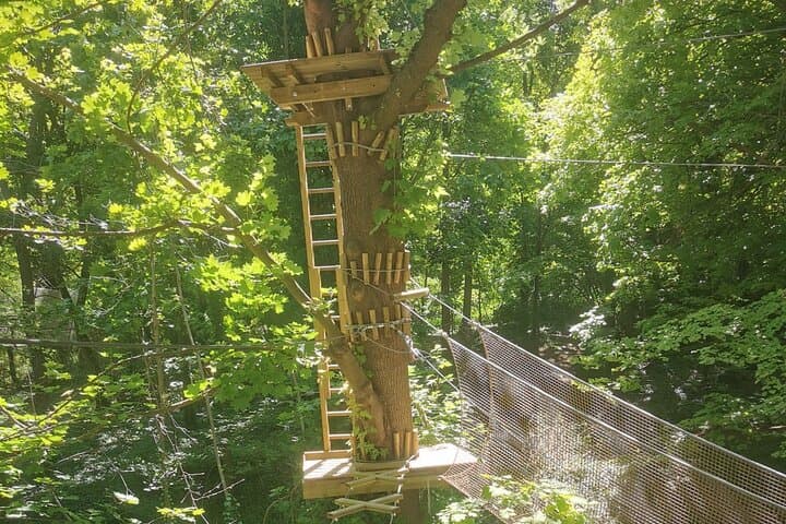 Poissy Treetop Adventure Course: Forest High-Ropes, Ziplines & Family-Friendly Adrenaline