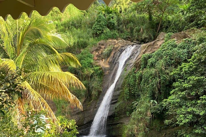 Half-Day Private Grenada Tour: Chocolate Museum, Grand Etang & Waterfall Swim photo 2