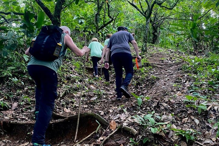 Kekoldi Hidden Waterfall Hike: Private Bribri Cultural Walk & Waterfall Swim photo 2