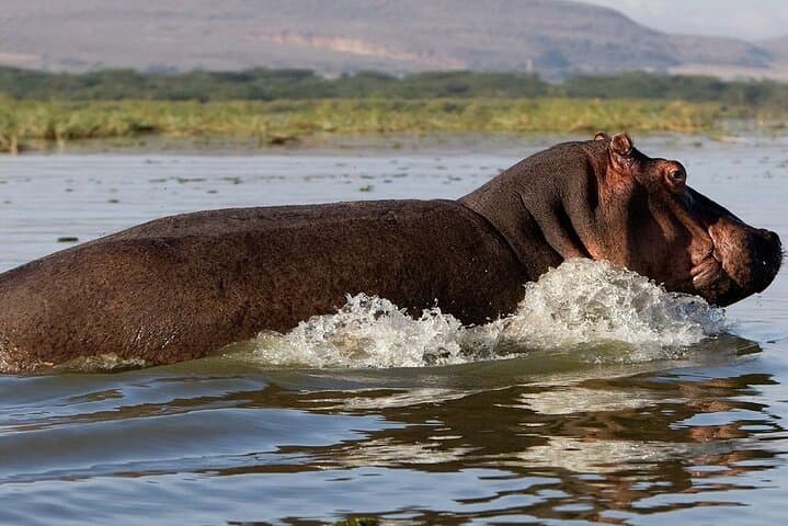 Overnight Hell's Gate & Lake Nakuru Safari from Nairobi — Biking, Boating & Game Drives photo 2