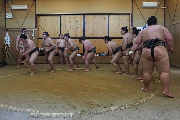 Inside Tokyo's Morning Sumo Practice: Stable Visit with English Guide & Hotel Pickup photo 6