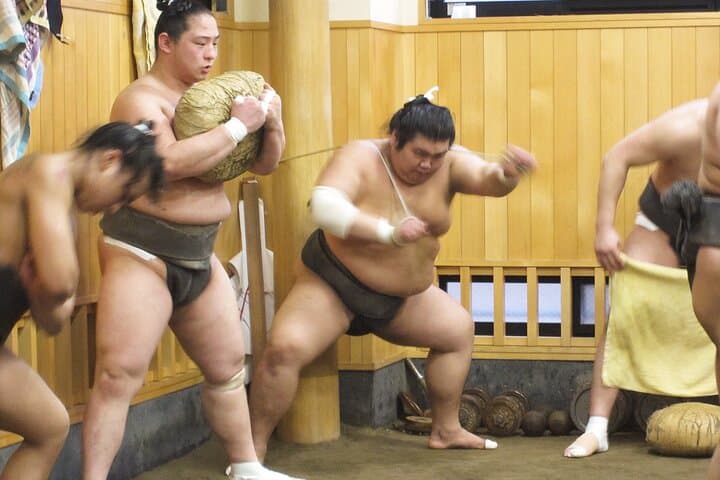 Inside Tokyo's Morning Sumo Practice: Stable Visit with English Guide & Hotel Pickup photo 5