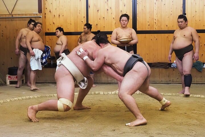 Inside Tokyo's Morning Sumo Practice: Stable Visit with English Guide & Hotel Pickup