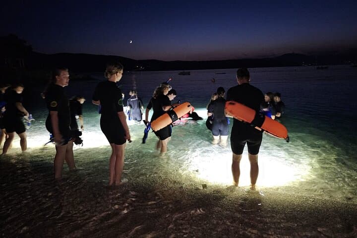 Night Snorkeling Krk: Bioluminescent Adriatic Adventure