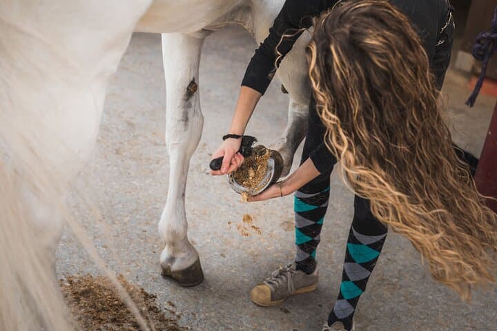 El Ranchito Stables Tour & Ritmo a Caballo Show — Torremolinos, Málaga photo 6
