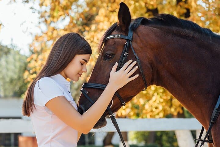 El Ranchito Stables Tour & Ritmo a Caballo Show — Torremolinos, Málaga