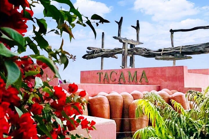 Tacama Winery and Pisco Museum Tour with Pisco Sour Class in Ica photo 2