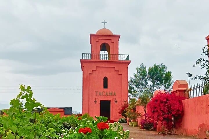 Tacama Winery and Pisco Museum Tour with Pisco Sour Class in Ica photo 4