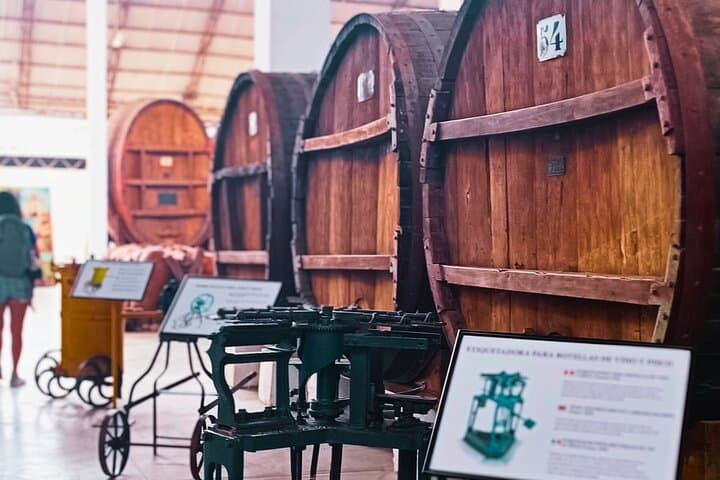 Tacama Winery and Pisco Museum Tour with Pisco Sour Class in Ica photo 5