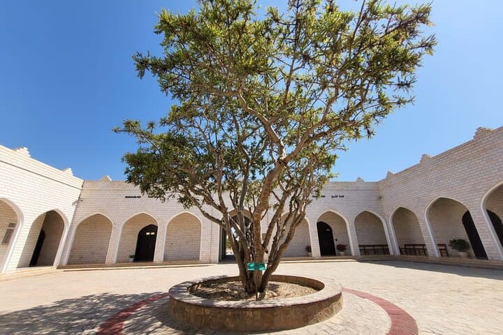 Exploring Oman's Frankincense Trail: Al Baleed, Khor Rori, Wadi Dawkha & Ubar